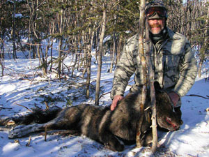 Image result for hunters in alaska wolves