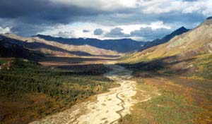 Alaska Big Game Hunting