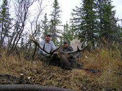 trophy moose hunting